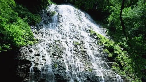 高标准电子